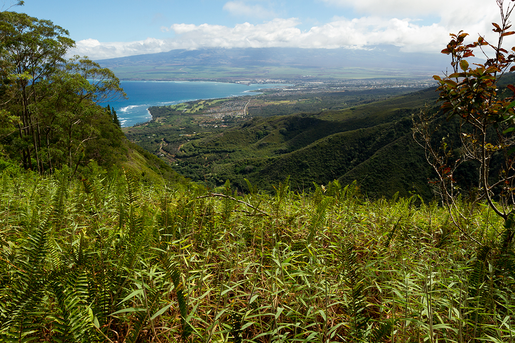 Maui - 031.jpg - Waihee Ridge Trail
